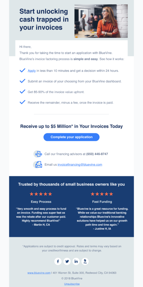 BlueVine Email Marketing Design